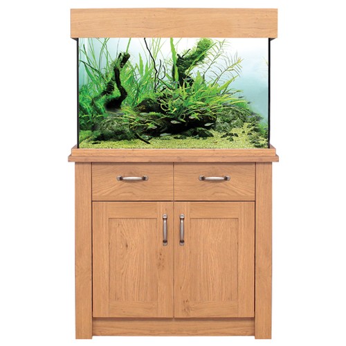 Oak style aquarium - style, fish