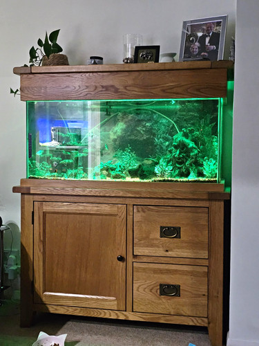 Oak fish tank - oak,