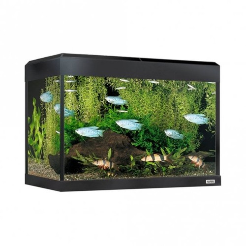 Fluval roma led aquarium - fluval, bt