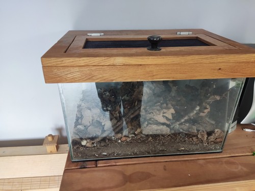 Vivarium aquarium with - aquarium,,