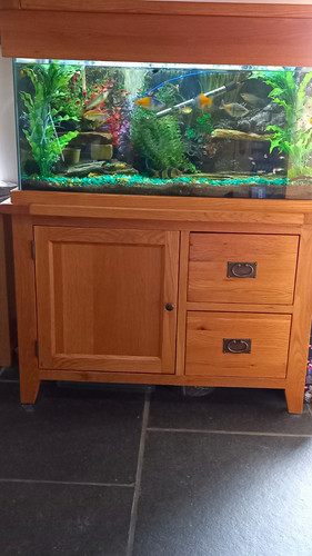 Oak aquarium 200ltr - oak,