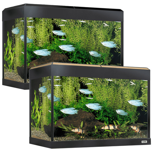 Fluval roma led aquarium - 90,