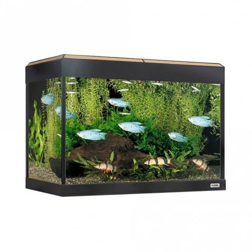 Fluval roma led - roma, bt