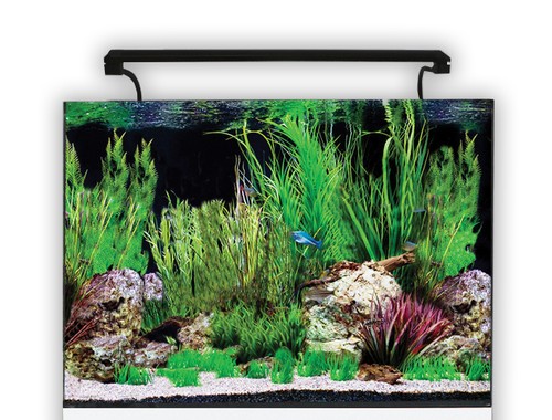 Aqua one aquanano aquariums - one,