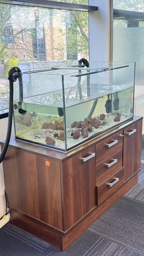 Fish tank 100x50x50cm - , and
