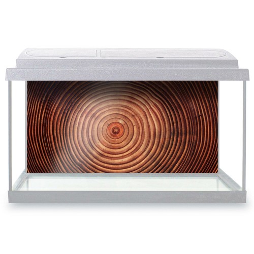 Fish tank background 90x45cm - fish,