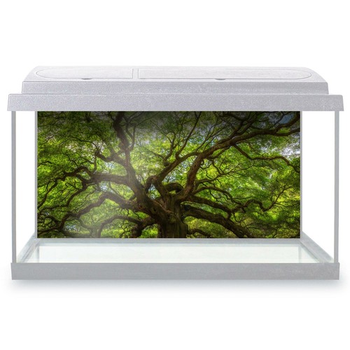 Fish tank background 90x45cm - tank,