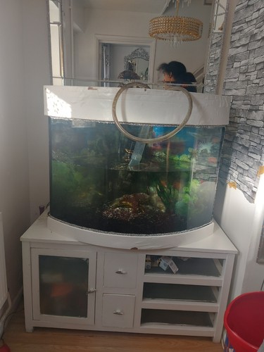 Large foot aquarium fish - large,,