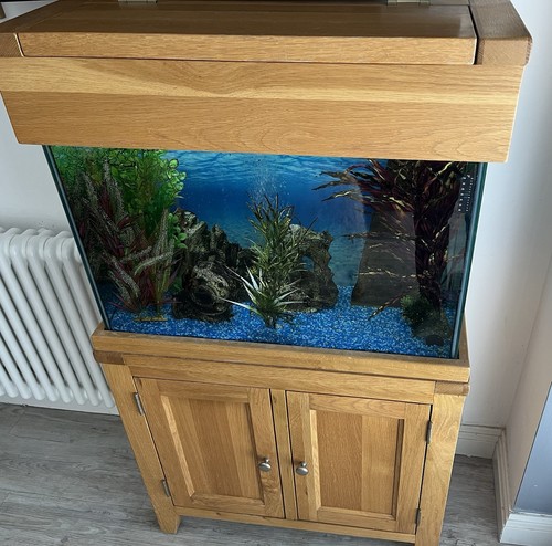 Oak fish tank - oak, wide