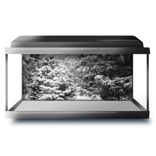 Fish tank background - fish, 90x45cm