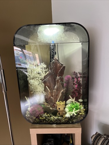 Fish tank aquarium - tank,