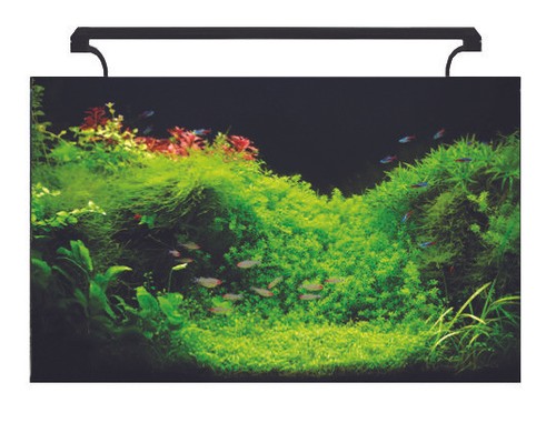 Aquanano glass aquarium - glass,