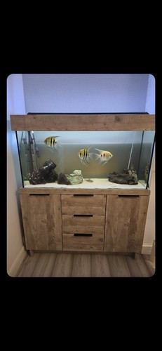 Aqua one 250ltr - 250ltr, aquarium
