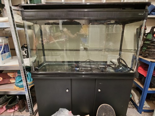 Boyo fish tank aquarium - fish,