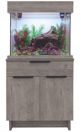 Dis aqua one oakstyle urban - dis,