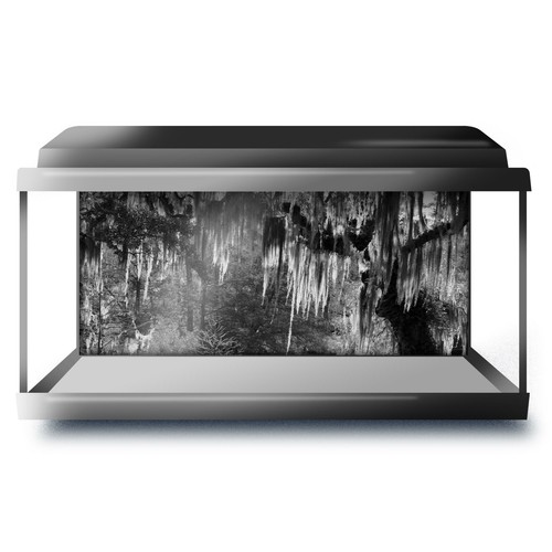 Fish tank background 90x45cm - tank,