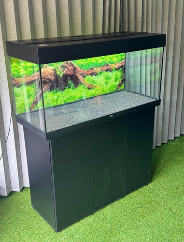 Fish tank aquarium - or, juwel